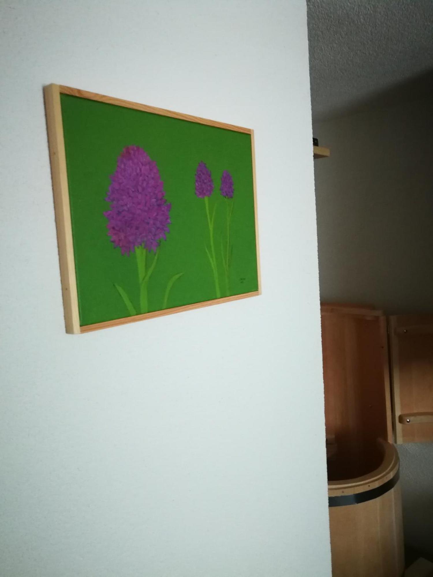 Ekoturizem Vizencar Hotel Cerklje na Gorenjskem Buitenkant foto