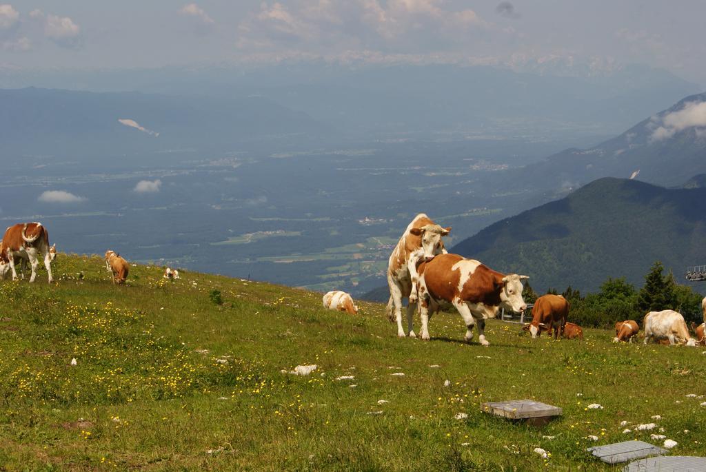 Ekoturizem Vizencar Hotel Cerklje na Gorenjskem Buitenkant foto